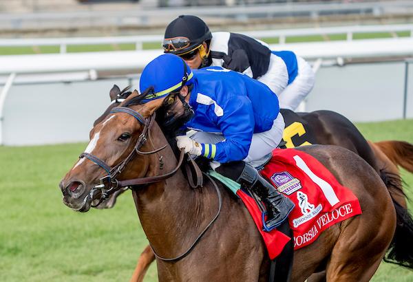 Corsia Veloce, Natalma Stakes, Woodbine, America's Best Racing, horse racing, ABR